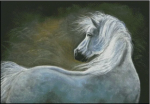 (image for) Storm